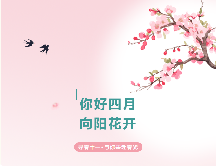 你好四月 向陽花開——尋春十一·與你共赴春光